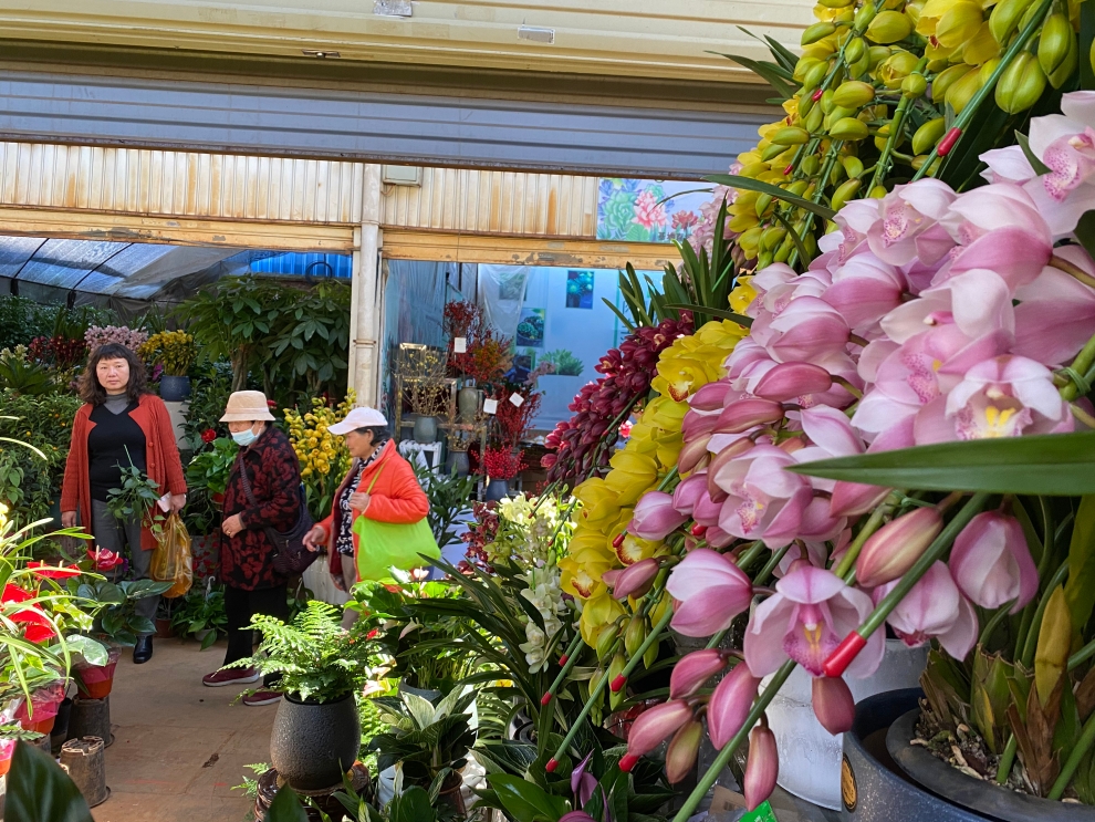 花鳥市場里,各種花爭奇斗艷,很是漂亮。 花鳥市場里,各種花爭奇斗艷,很是漂亮。