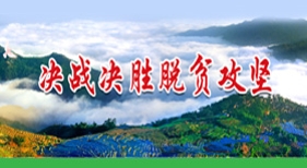 決戰(zhàn)決勝脫貧攻堅