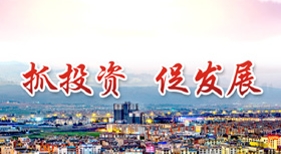 抓投資促發(fā)展
