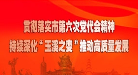 貫徹省委省政府玉溪現(xiàn)場(chǎng)辦公會(huì)精神