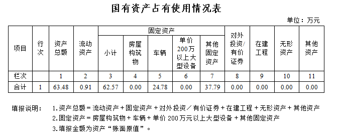 國(guó)有資產(chǎn)占有使用情況表