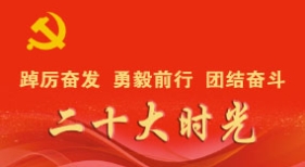 二十大時(shí)光