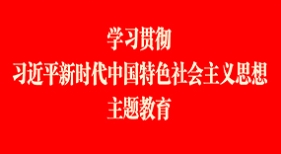 學(xué)習(xí)貫徹習(xí)近平新時(shí)代中國(guó)特色社會(huì)主義思想主題教育