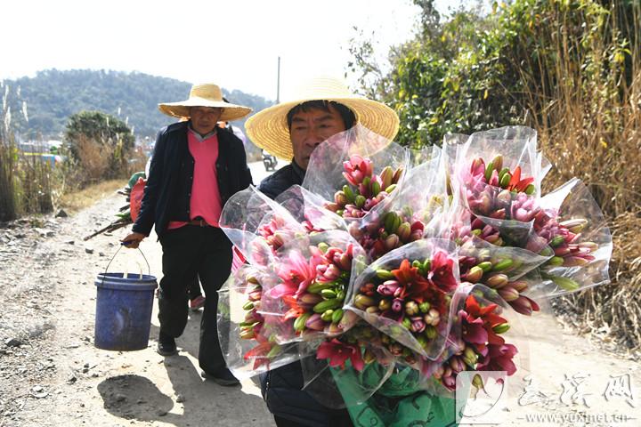 塔甸鎮(zhèn)小草海村，村民準(zhǔn)備到廣場(chǎng)出售自家種的鮮花。
