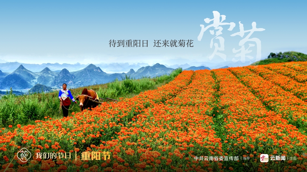 我們的節(jié)日·重陽(yáng)