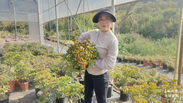 賈鵝在基地管護(hù)多肉植物。.jpg