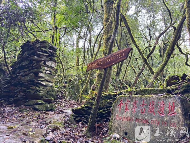 千家寨古城遺址。
