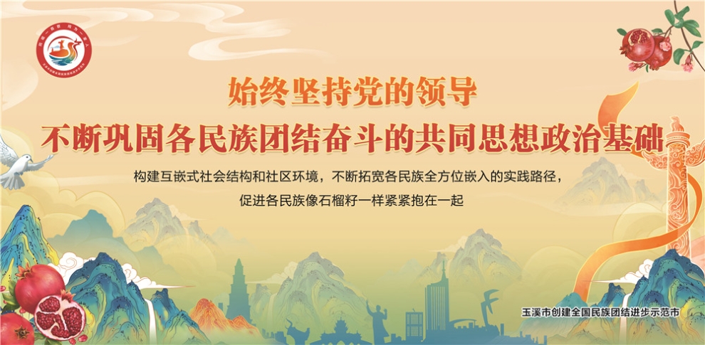 玉溪市民族團結進步宣傳海報19