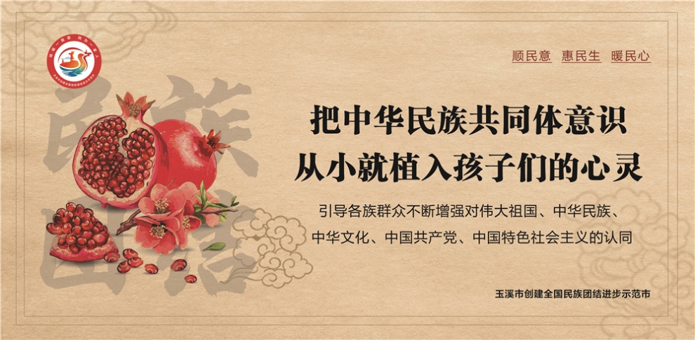 玉溪市民族團結(jié)進步宣傳海報12