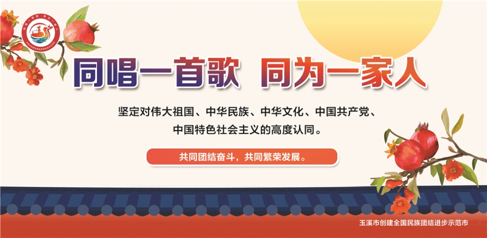 玉溪市民族團結(jié)進步宣傳海報4