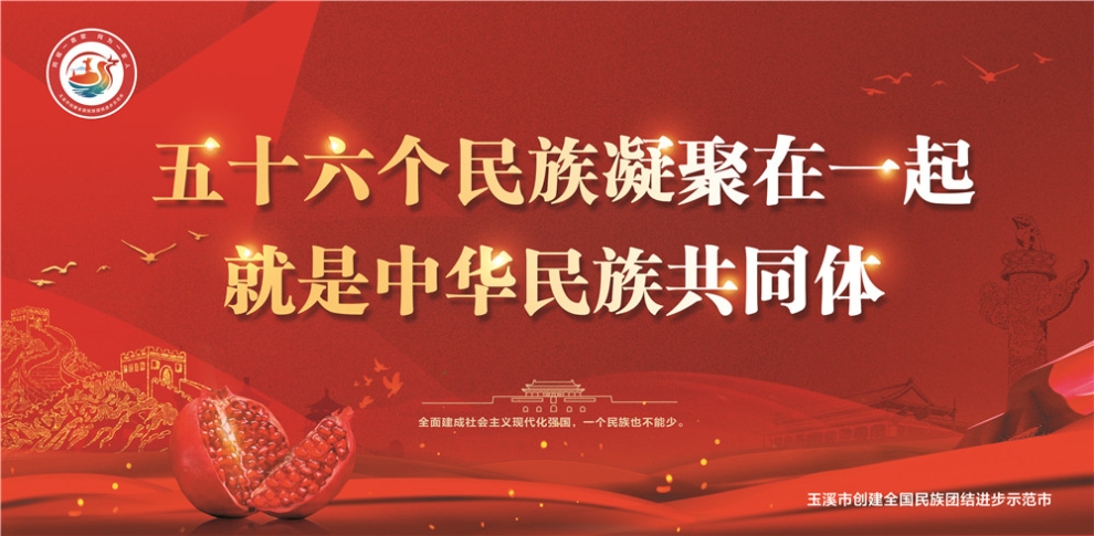 玉溪市民族團結(jié)進步宣傳海報3