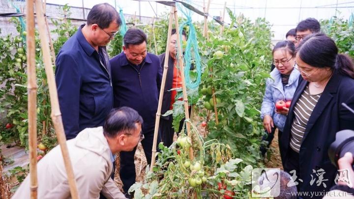 深入田間地頭進行技術(shù)指導。
