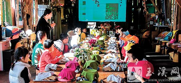 了解花生有關(guān)知識。