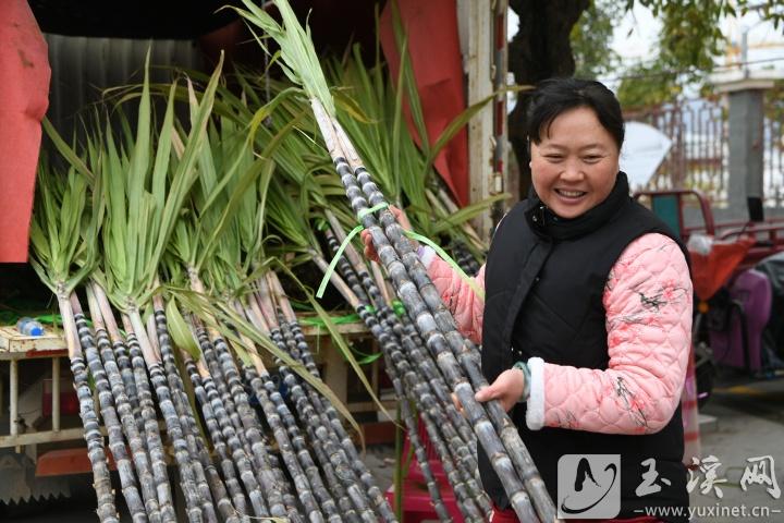 江川區(qū)九溪鎮(zhèn)，選購(gòu)甘蔗的市民（攝于2025年1月28日，除夕）。
