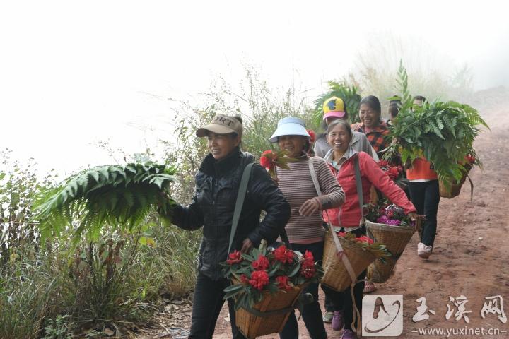 采花歸來的村民。