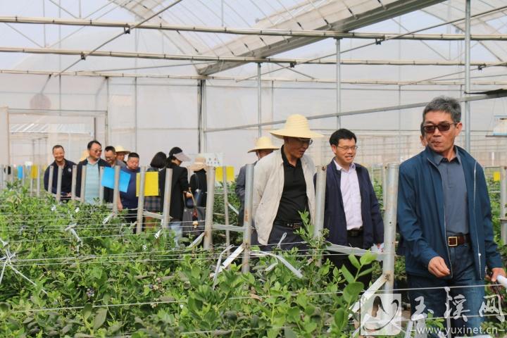 銀齡教師走基層。