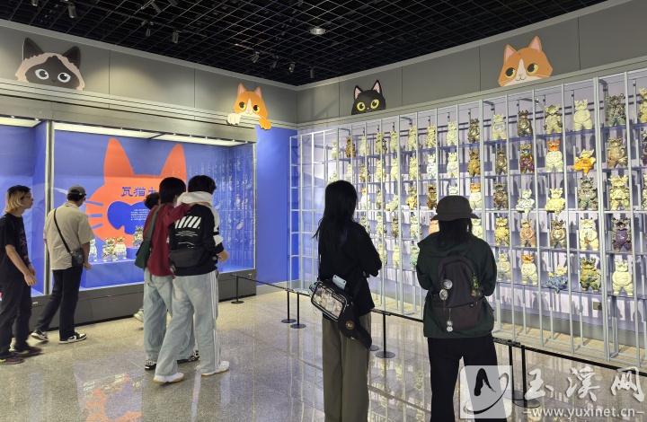 瓦貓作品吸引市民和游客的目光。