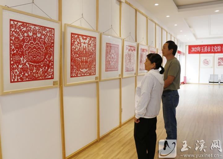 展覽吸引市民觀看。