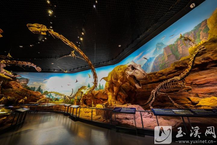 澄江化石地世界自然遺產(chǎn)博物館借助科技，讓古生物重?zé)ㄐ律?記者 沈陽 攝